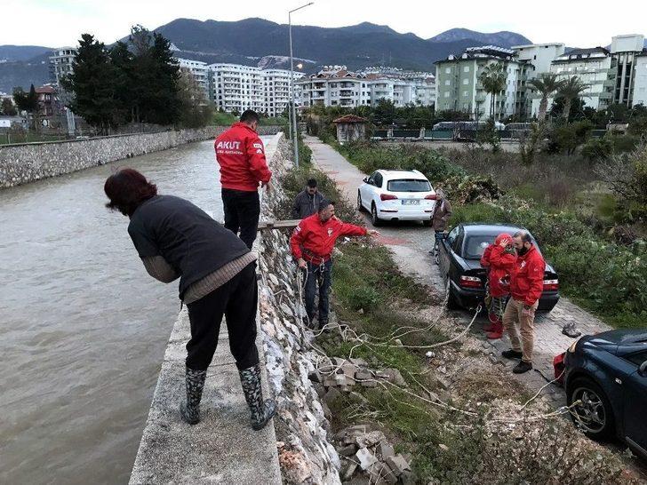 Kedi Boğulmaktan Son Anda Kurtarıldı G1