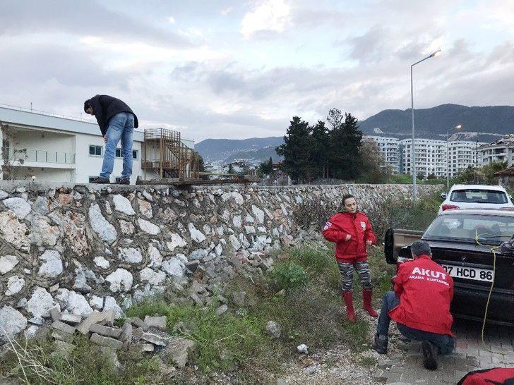 Kedi Boğulmaktan Son Anda Kurtarıldı G2