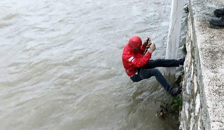 Kedi Boğulmaktan Son Anda Kurtarıldı G3