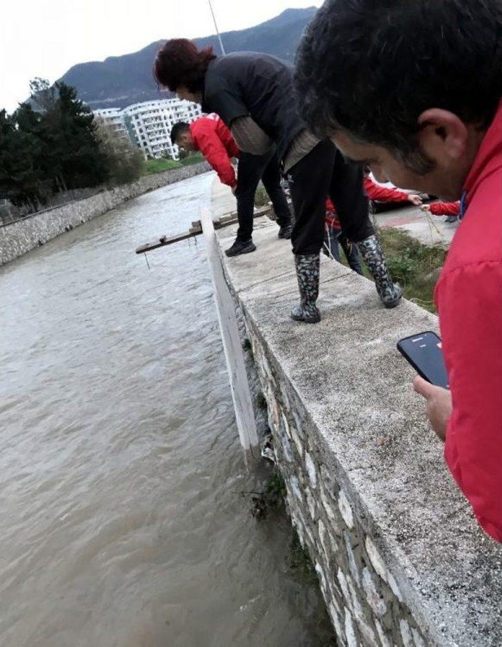 Kedi Boğulmaktan Son Anda Kurtarıldı G4
