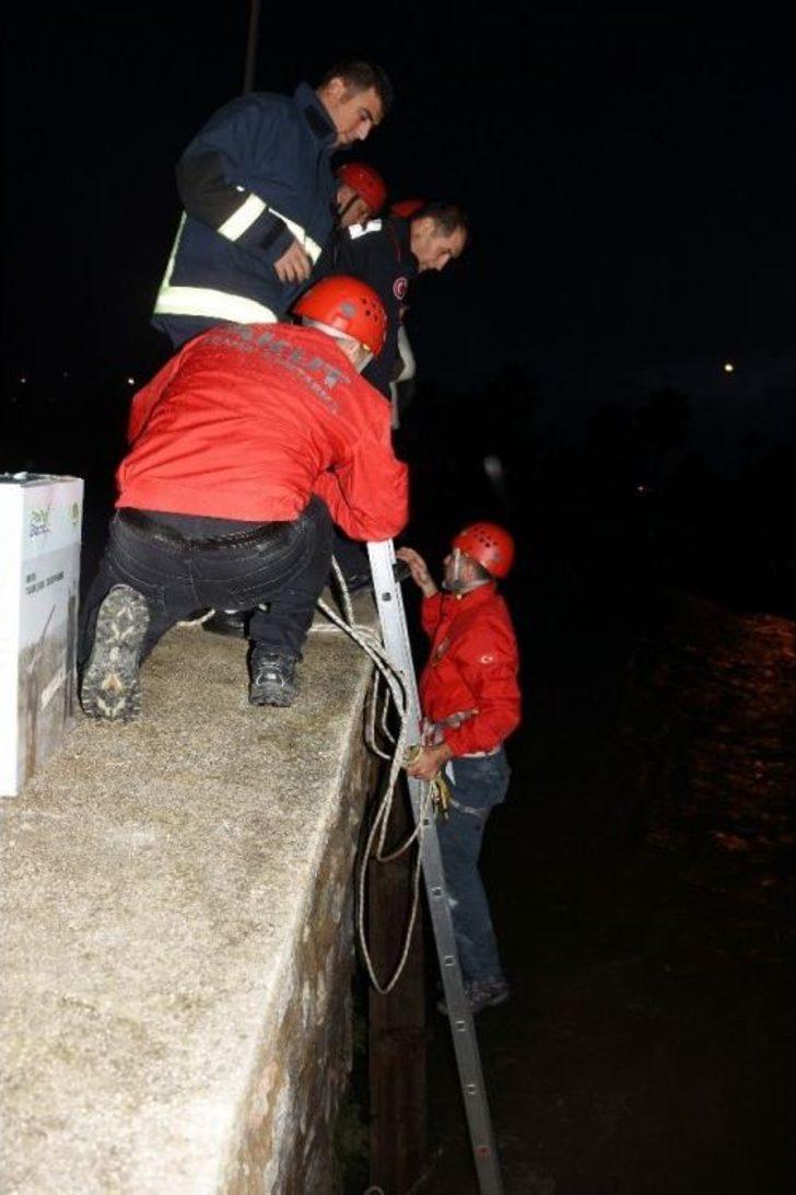 Kedi Boğulmaktan Son Anda Kurtarıldı G5