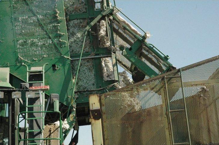 Kahramanmaraş’ta Pamuk Hasadı Başladı G4