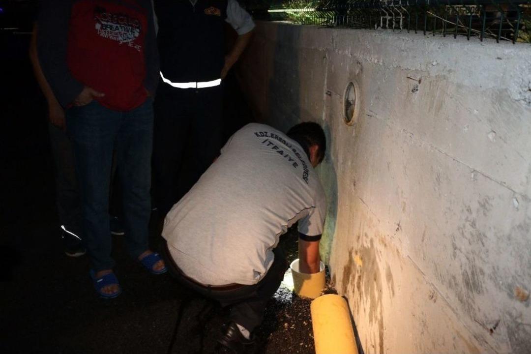 Takım Elbiseyle Kanalizasyonda Kedi Kurtarma Operasyonu