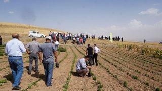 Tıbbi Ve Aromatik Bitki Bahçelerinin Tanıtımı Yapıldı