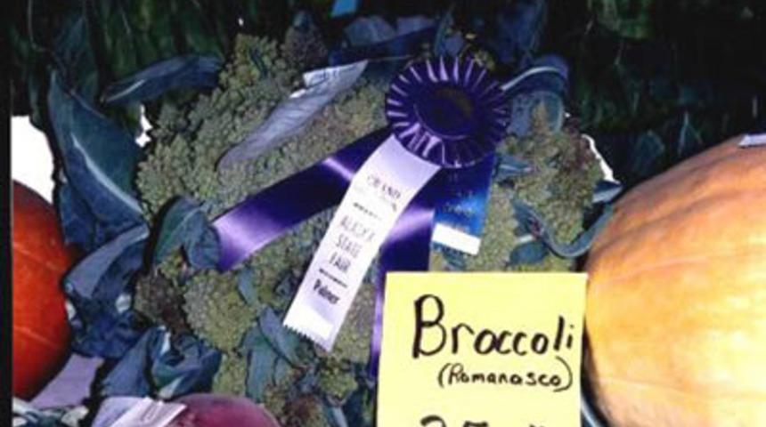 Rekor kıran sebzeler