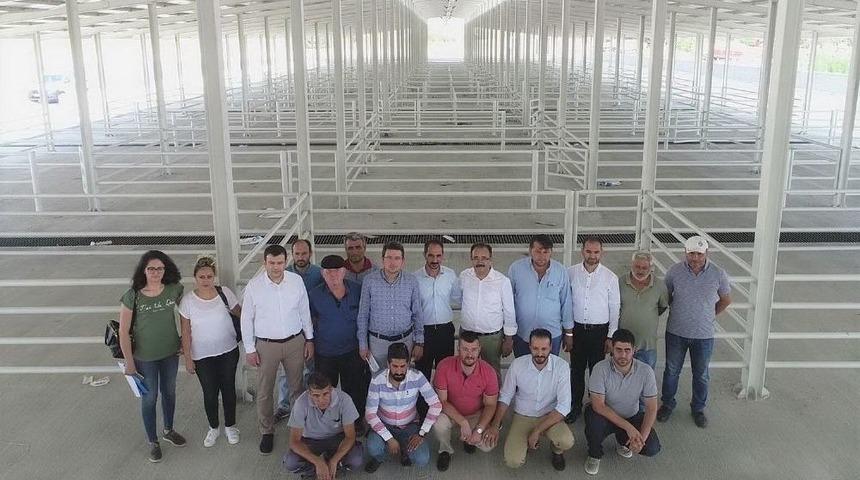 Uşak, Kurban Bayramı Önü Modern Hayvan Pazarına Kavuşuyor