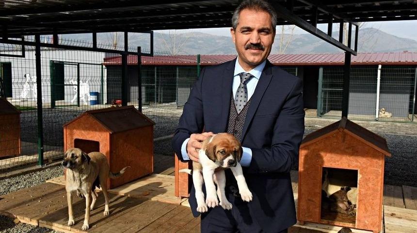 Turhal&rsquo;da Hayvan Ambulansı Hizmete Giriyor