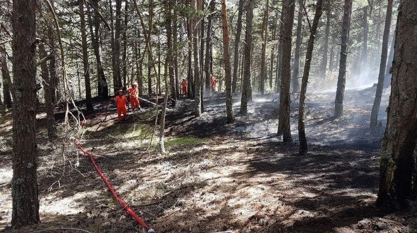 Tabiat Parkındaki Yangın Korkuttu