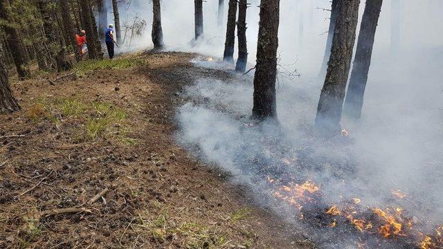 Tabiat Parkındaki Yangın Korkuttu