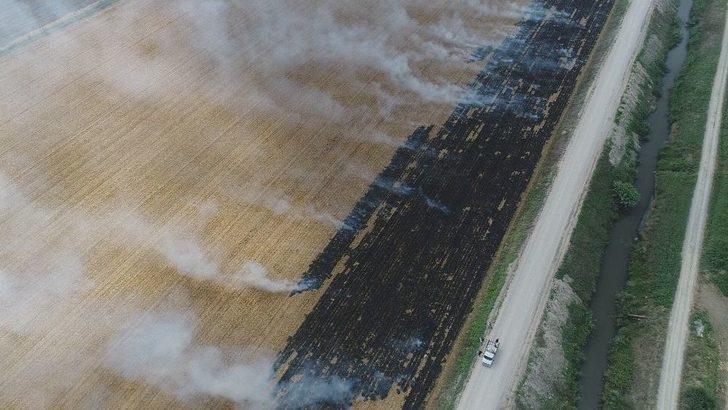 Çukurova’da Mısır Hasadıyla Birlikte Anız Yangınları Da Başladı G1