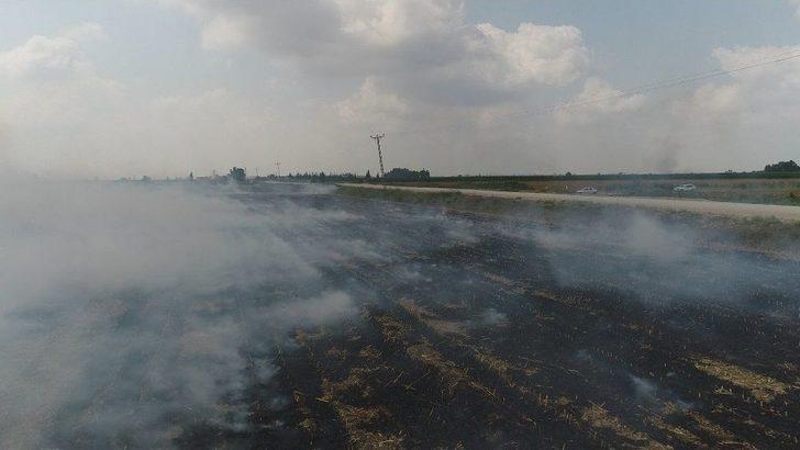 Çukurova’da Mısır Hasadıyla Birlikte Anız Yangınları Da Başladı G4