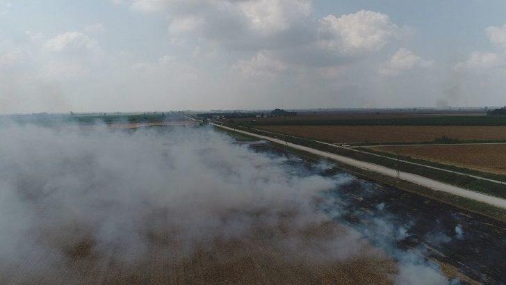 Çukurova’da Mısır Hasadıyla Birlikte Anız Yangınları Da Başladı G5