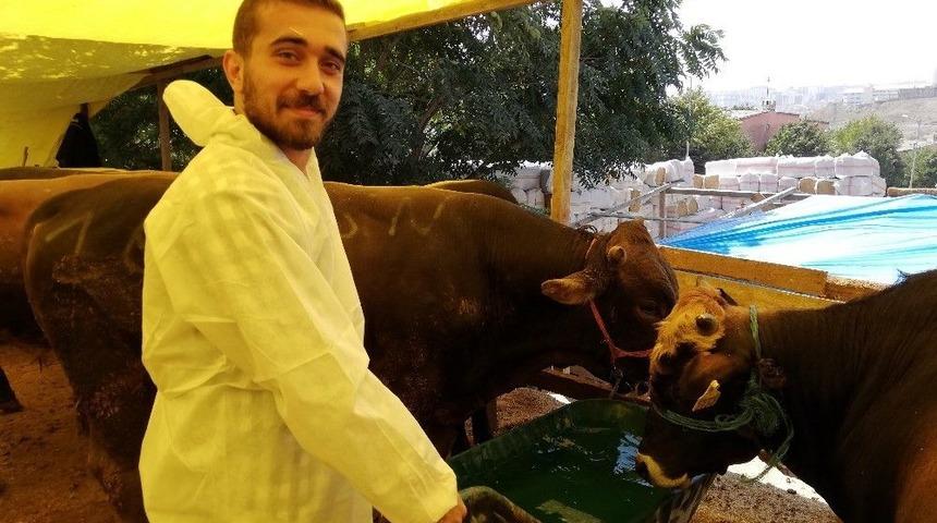 (&ouml;zel) Gen&ccedil; Avukat, Kurban Satış Alanında Satıcılık Yapıyor