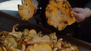 ‘tavuk Tirmidi’ Tezgahlarda Son Günlerini Yaşıyor