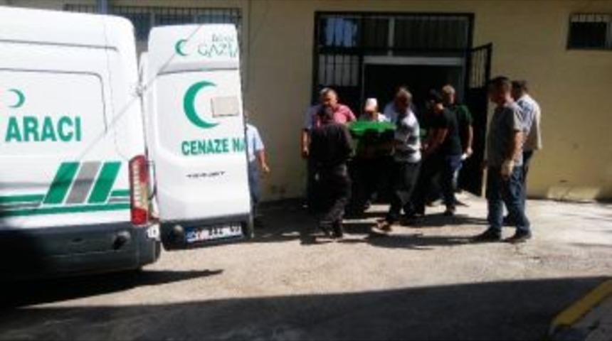 Ceviz Ağacından D&uuml;şen Kişi &Ouml;ld&uuml;