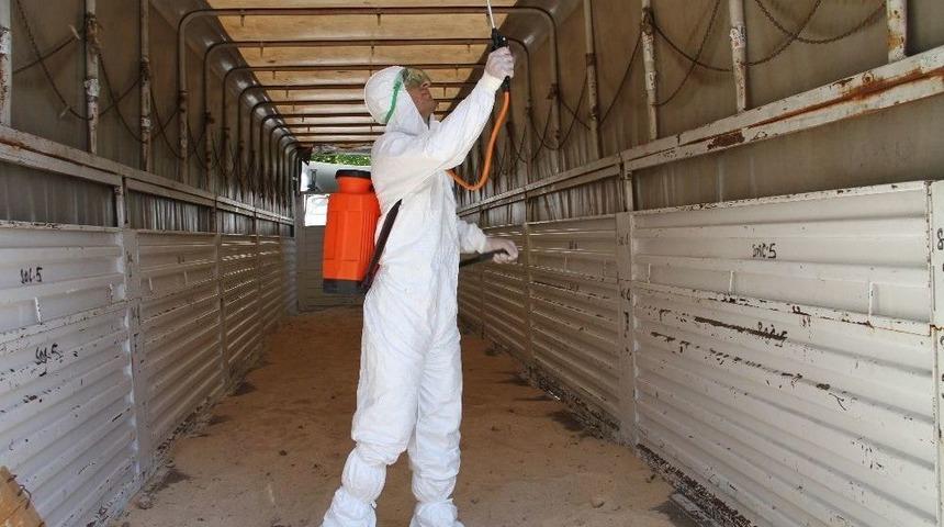 Kurbanlıklar Veteriner Kontrolüyle Batıya Sevk Ediliyor