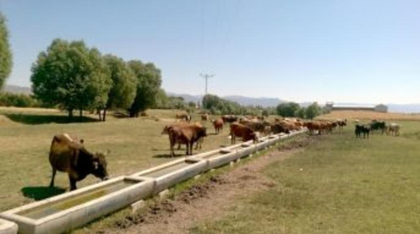 Dap İdaresi, 25 Bin 213 Adet Sıvat Dağıttı