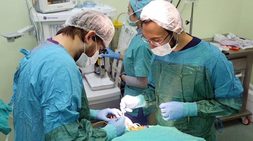 T&uuml;rkiye&rsquo;nin İlk &lsquo;engelsiz Ağız Diş Sağlığı Merkezi&rsquo; Sd&uuml;&rsquo;ye