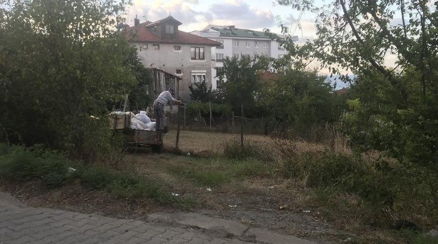 Ak&ccedil;akoca Kent Merkezinde Fındık Harmanı Yapanlar Uyarıldı