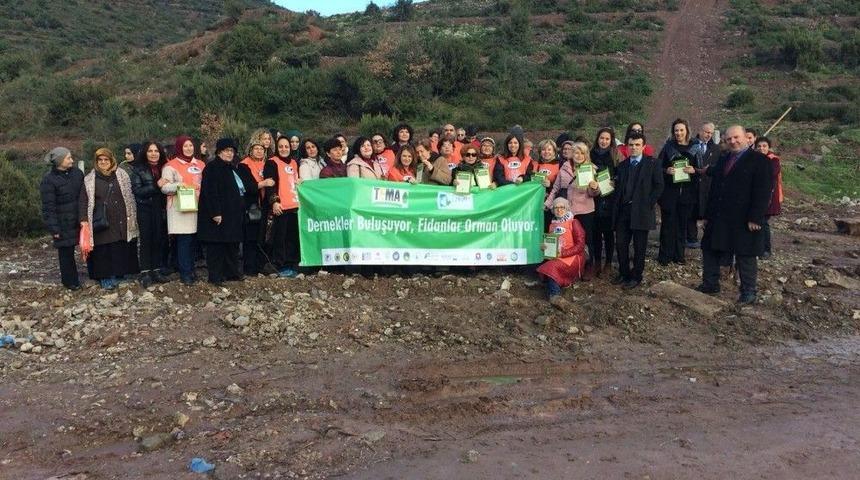 Dernekler Buluşuyor Fidanlar Orman Oluyor