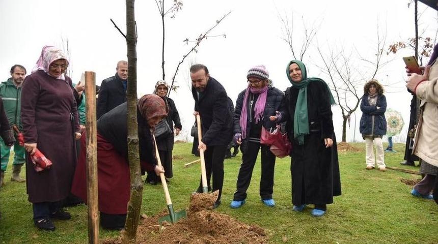 Fidanlar Toprak İle Buluştu