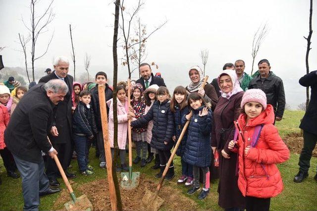 Fidanlar Toprak İle Buluştu