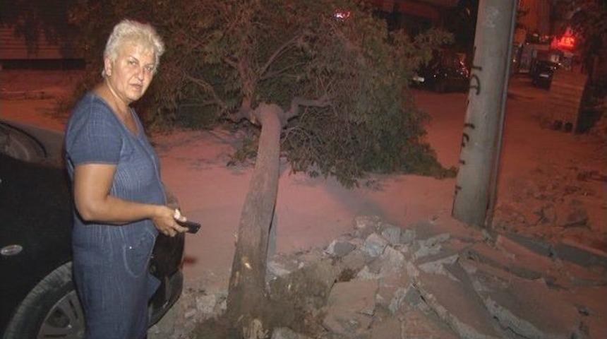 İzmir&rsquo;de Ağa&ccedil; Yola Devrildi, Şans Eseri Kimse Yaralanmadı