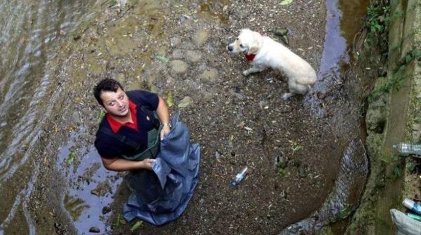 Dereye D&uuml;ş&uuml;nce Ayağı Kırılan K&ouml;peği Itfaiye Kurtardı