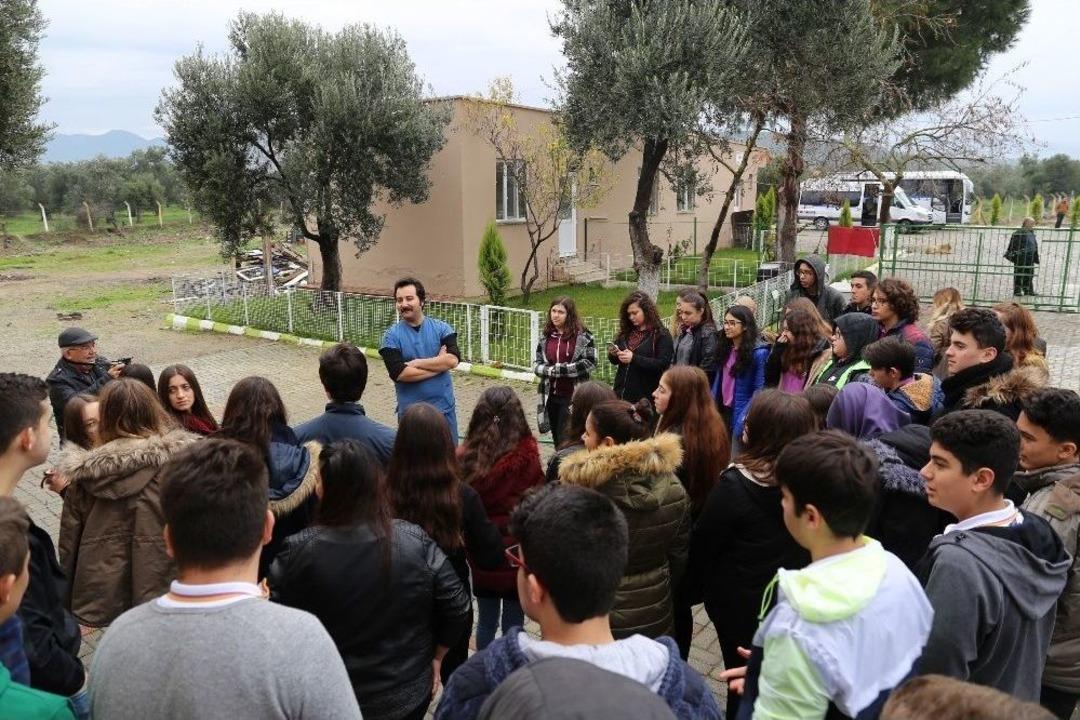 Burhaniye Belediyesi Sokak Hayvanları Bakım Evine Ziyaretler Devam Ediyor
