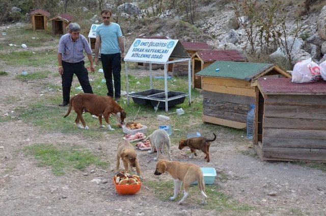 Emet Belediyesi’nden Örnek Proje