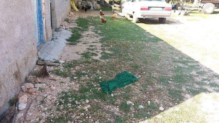 Eskişehir’de Kurbanlık Koyunlar Çalındı G1