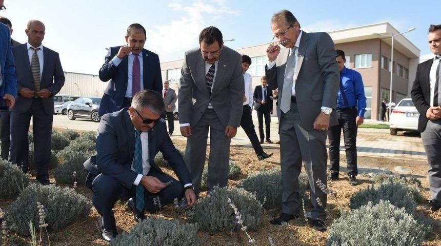 &Ccedil;ift&ccedil;ilerin Kazan&ccedil;ları B&uuml;y&uuml;kşehir İle Arttırıyor