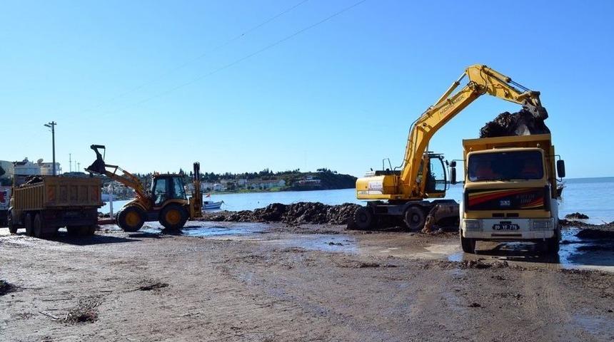 Lodos Didim&rsquo;i Vurdu