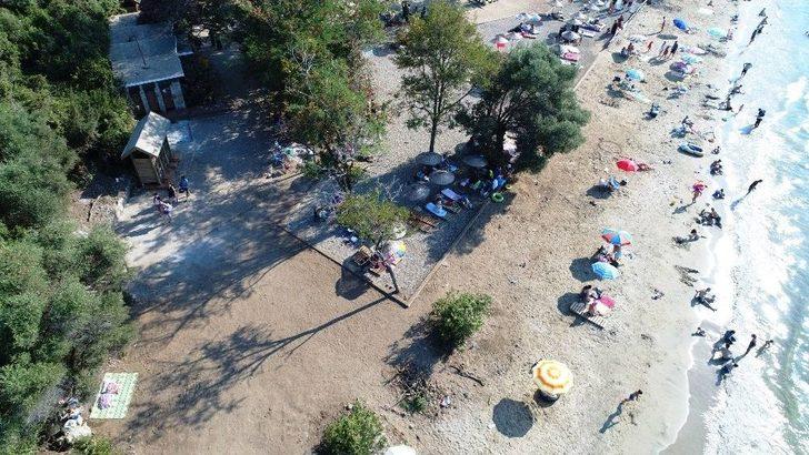 Dilek Yarımadası’nda Ormanla İç İçe Plaj Keyfi G2