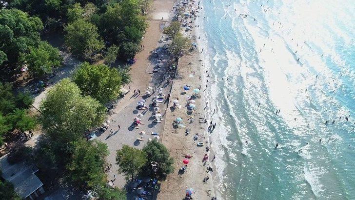 Dilek Yarımadası’nda Ormanla İç İçe Plaj Keyfi G3