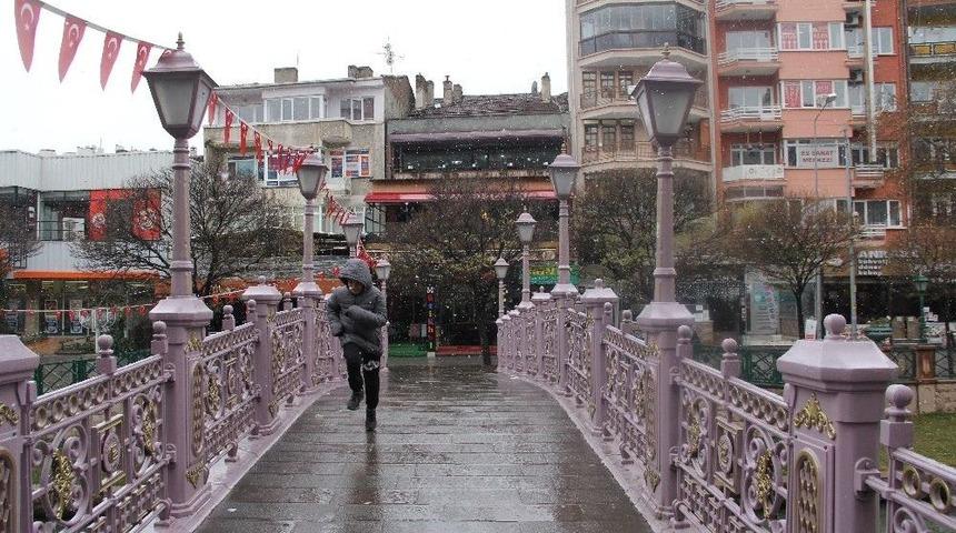 Karda Kışta Sokak Hayvanlarının Yardımına Koştular