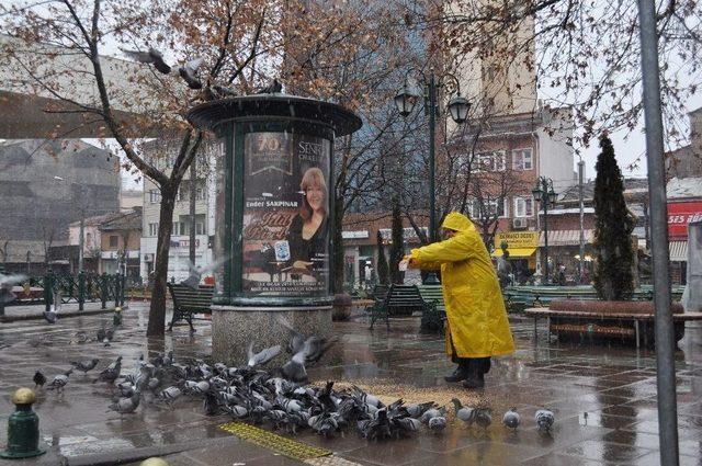 Karda Kışta Sokak Hayvanlarının Yardımına Koştular