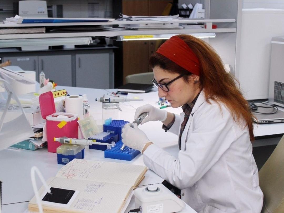 (&ouml;zel Haber) Trakya&rsquo;da Ay&ccedil;i&ccedil;eği Daha Verimli Hale Geliyor