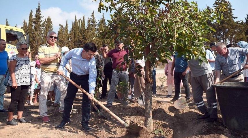 Kepez Belediyesi’nden Dokuma Botanik’e Barış Fidanı