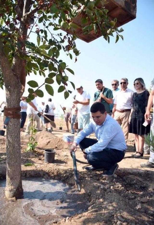 Kepez Belediyesi’nden Dokuma Botanik’e Barış Fidanı