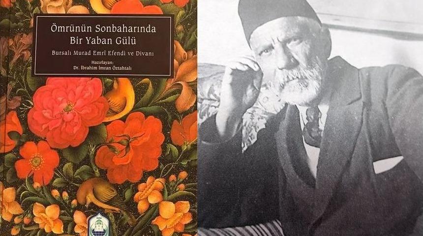 Bursa&rsquo;ya Damga Vuran Rumeli G&ouml;&ccedil;meni Bir &ldquo;yaban G&uuml;l&uuml;&rdquo;