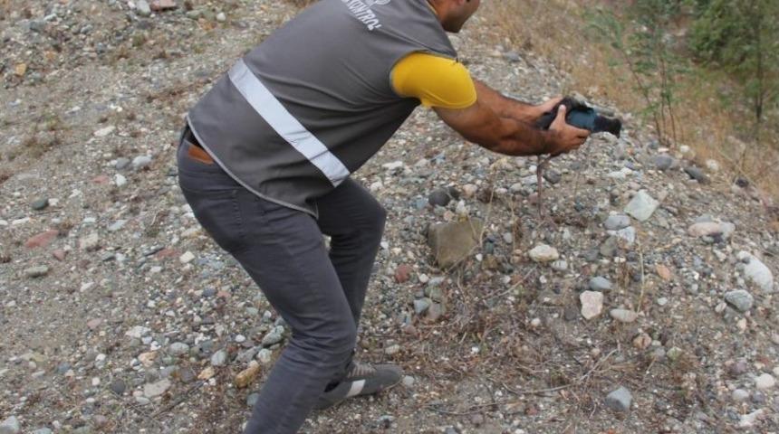 Artvin&rsquo;de Tedavi Altına Alınan Saz Horozu Doğal Yaşama Bırakıldı