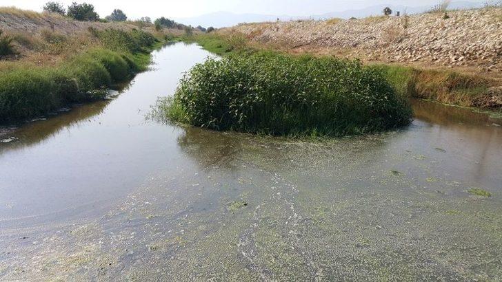 Çiftçiler Tarım Arazilerini Kanalizasyon Sularının Da Karıştığı Dere Yataklarından Suluyor G1