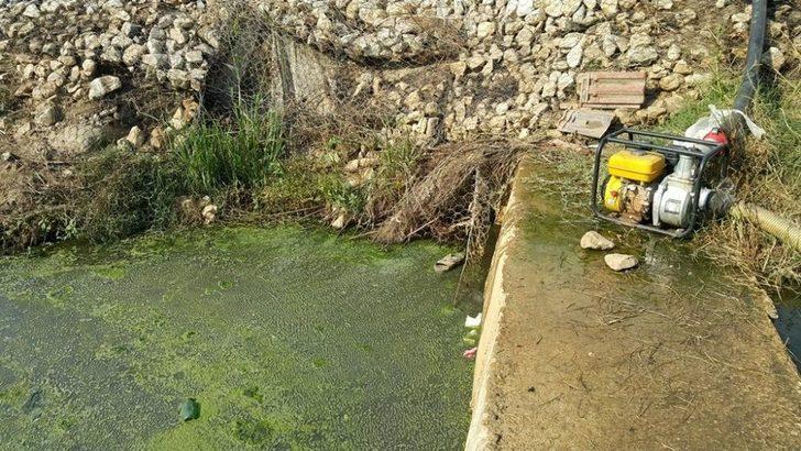 Çiftçiler Tarım Arazilerini Kanalizasyon Sularının Da Karıştığı Dere Yataklarından Suluyor G2