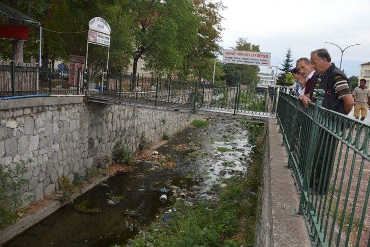 Niksar’da Balık Ölümleri Vatandaşları Korkuttu G3