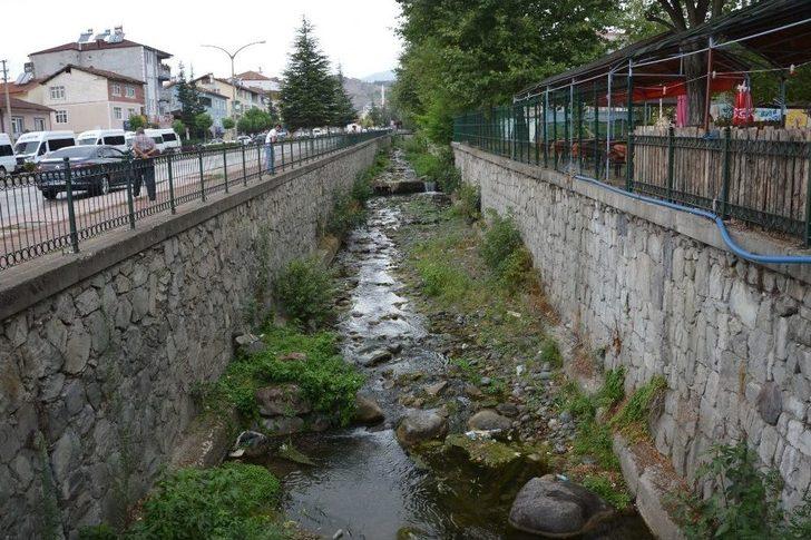 Niksar’da Balık Ölümleri Vatandaşları Korkuttu G5