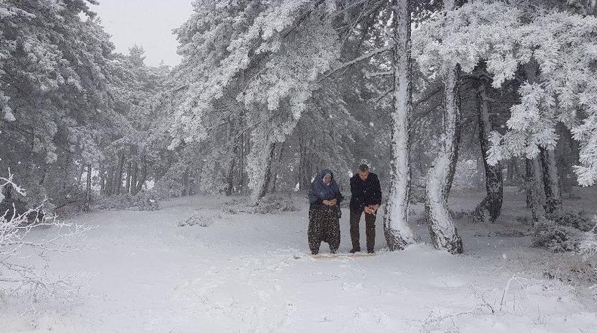 Doğadaki Hayvanlara "onlar İ&ccedil;in Bir Avu&ccedil; Yem" Kampanyası
