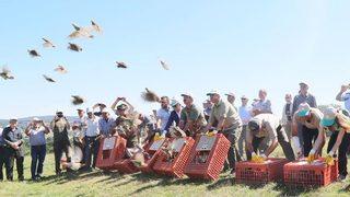 Kırklareli’nde 2 Bin Adet Keklik Doğaya Bırakıldı