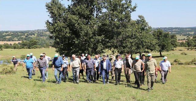 Kırklareli’nde 2 Bin Adet Keklik Doğaya Bırakıldı