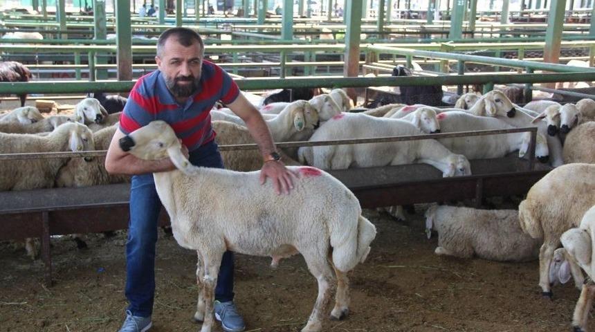 Birlik Başkanı Akın Canlı Hayvan Pazarını Ziyaret Etti